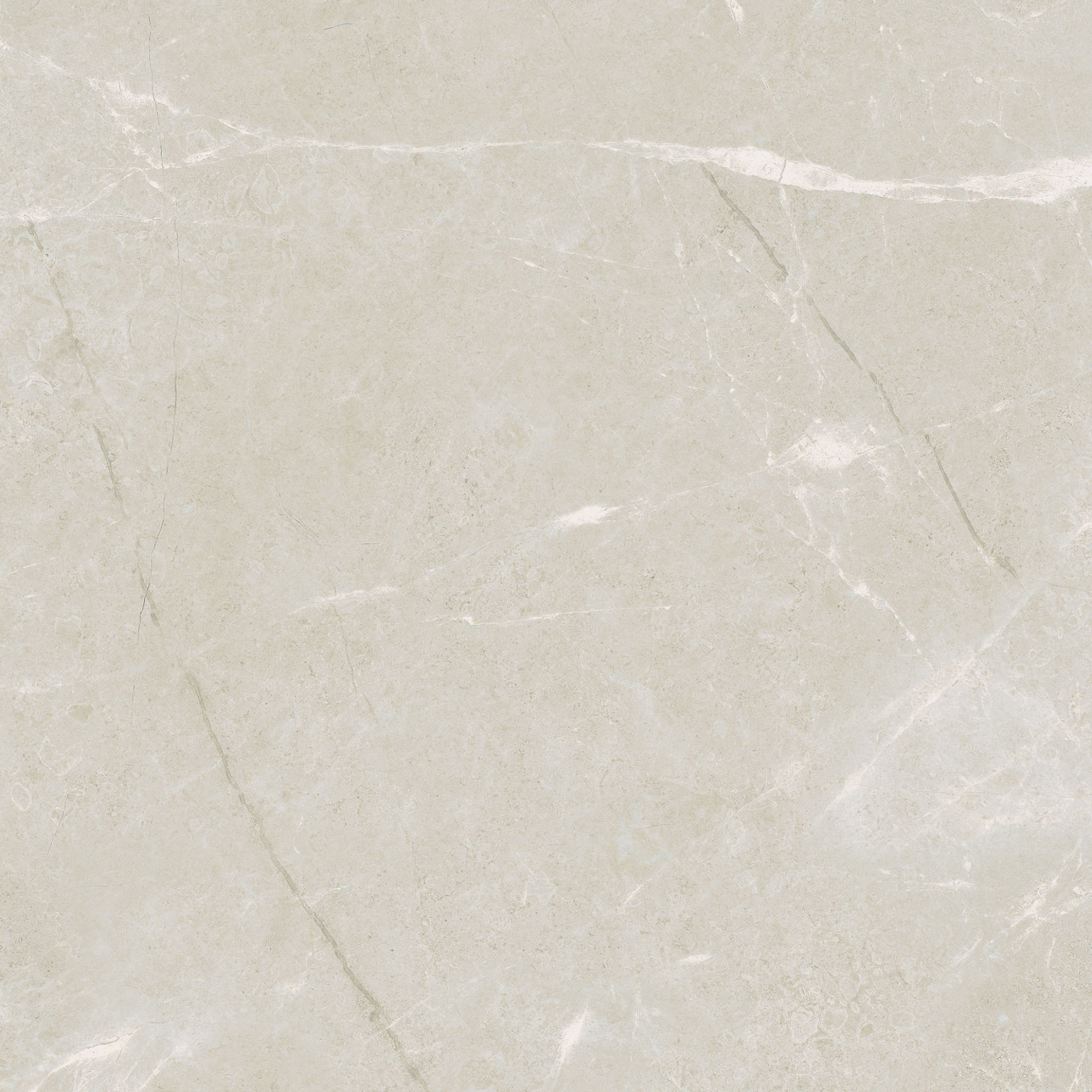 Torino 20x20 Avorio | Roma Tile NY