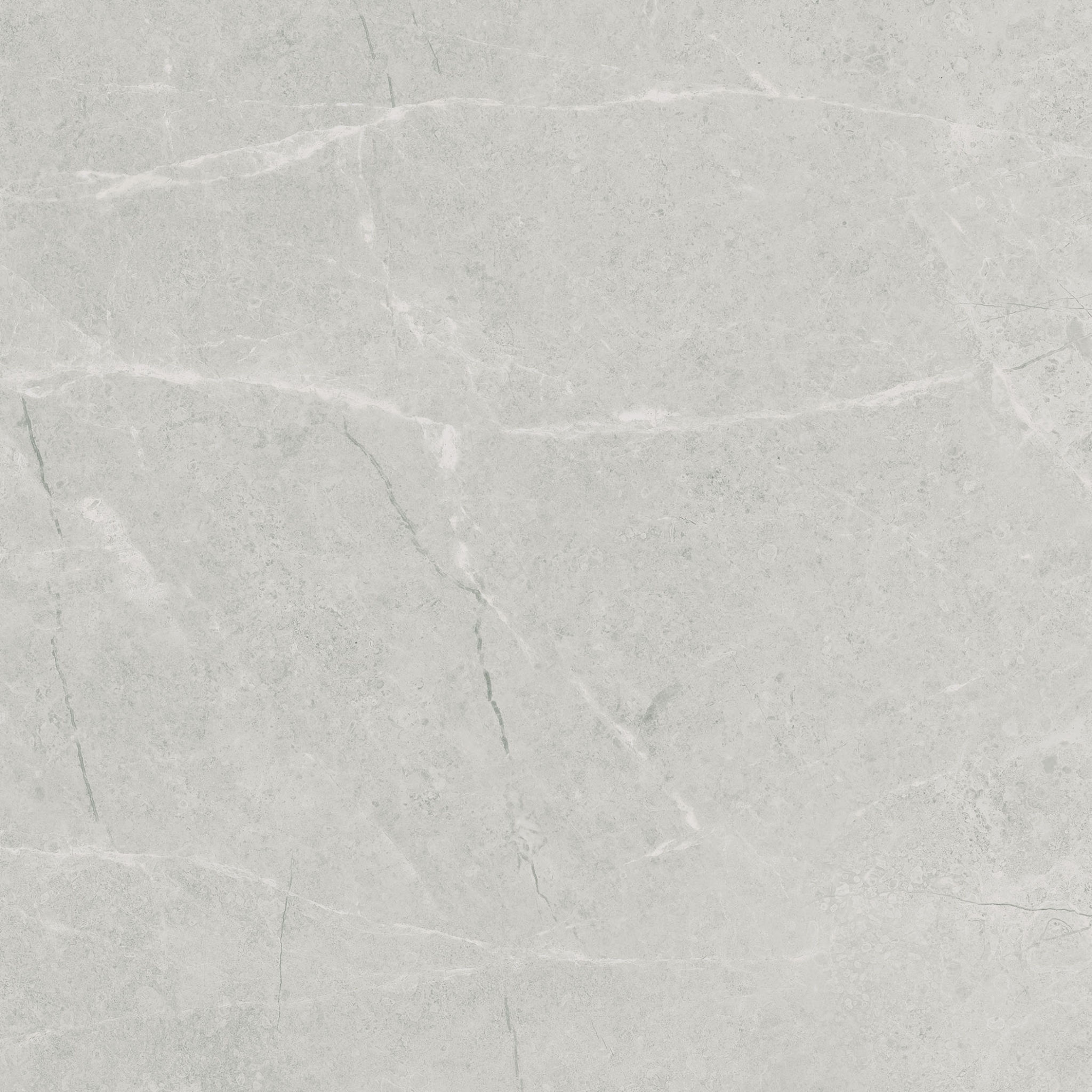 Torino 20x20 Grigio | Roma Tile NY