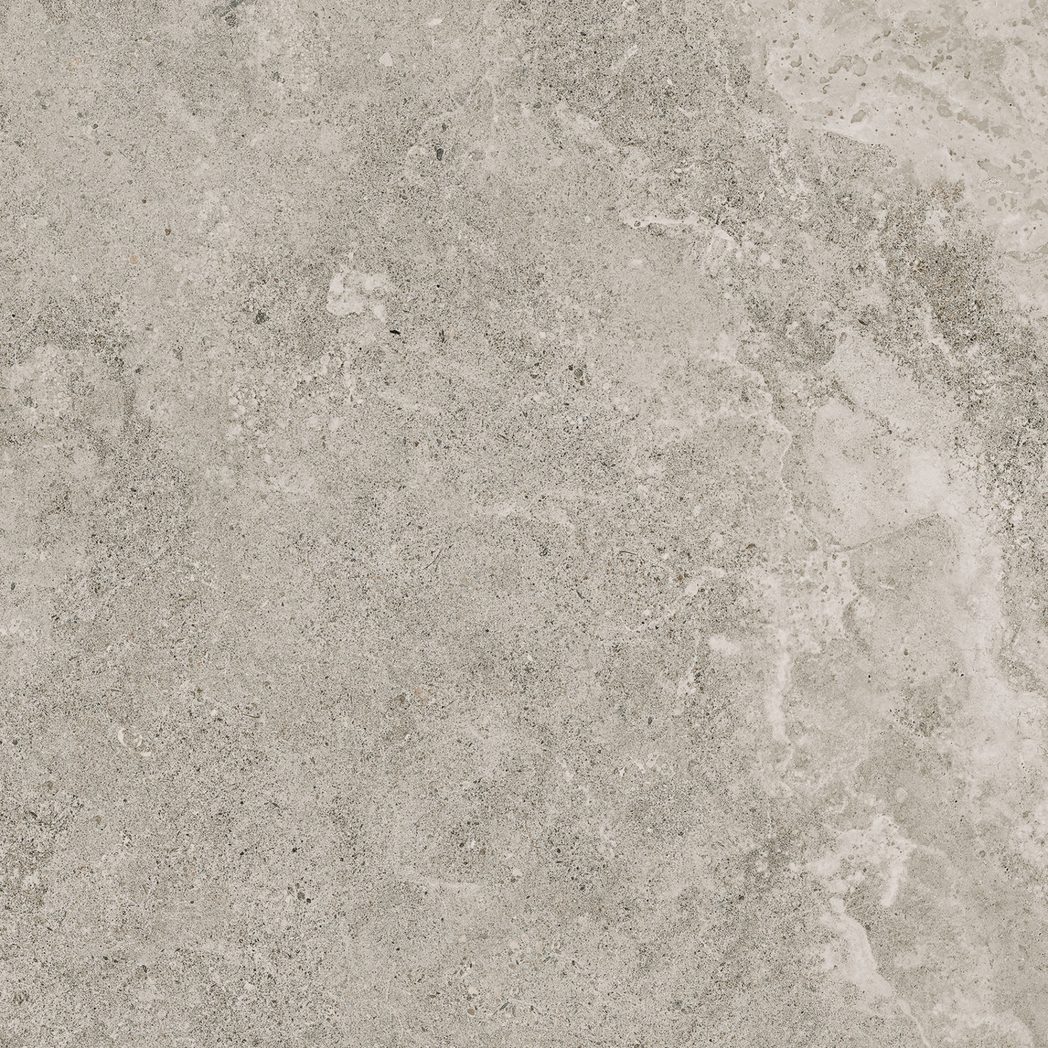 Veneta 13x13 Stormio | Roma Tile NY