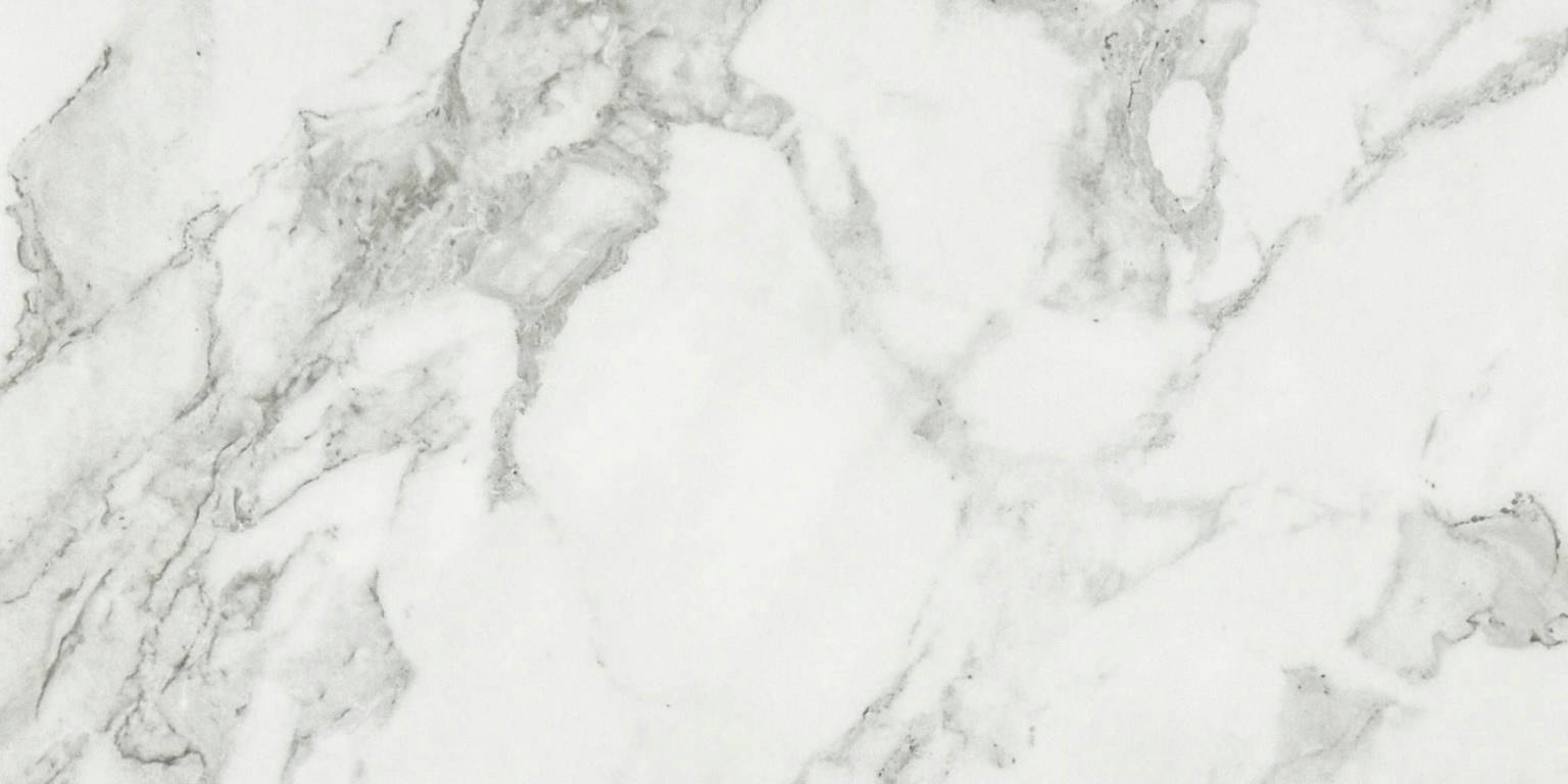 Luxury Arabescato Verona 12X24 Honed | Roma Tile NY