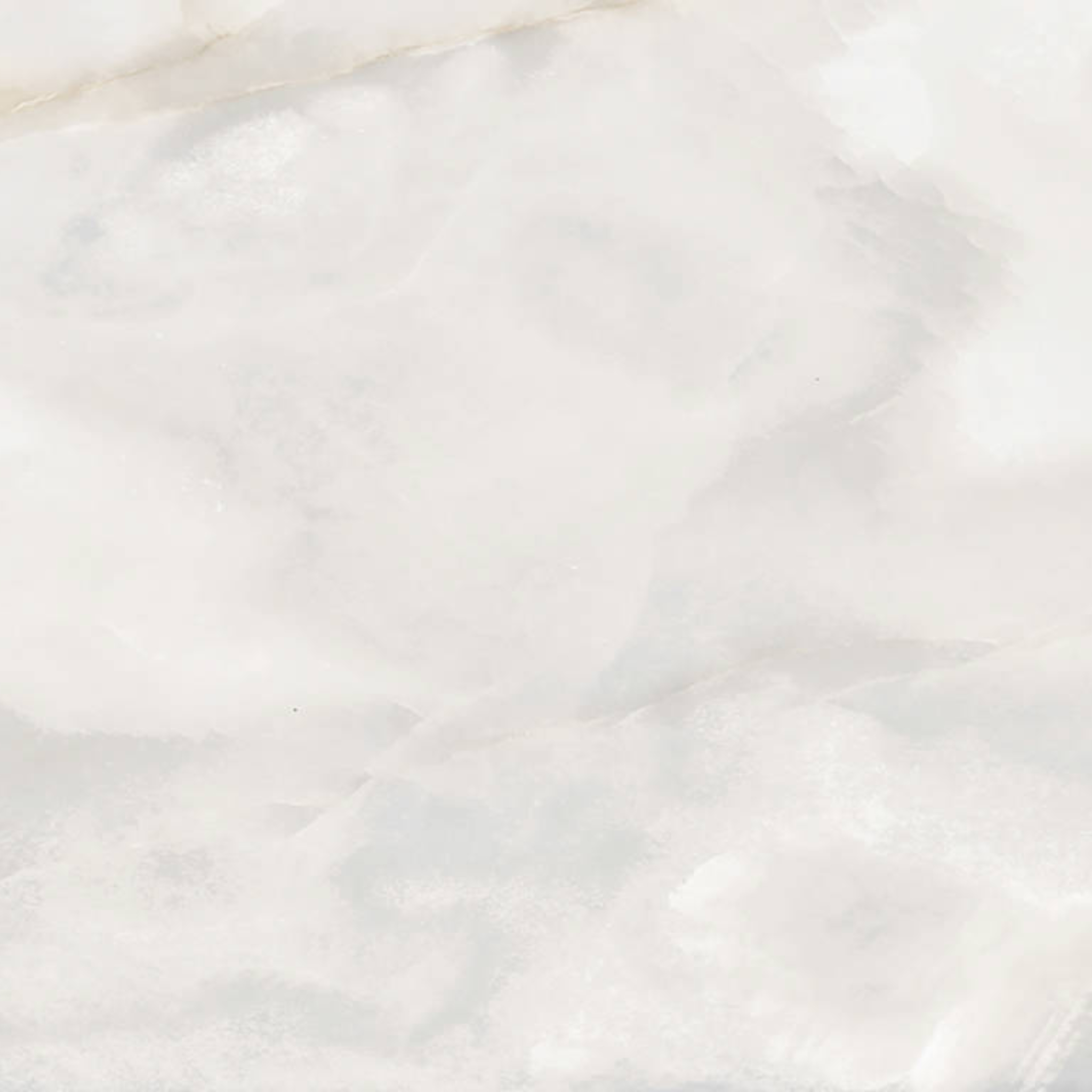 Rendezvous White Matte 24x24 | Roma Tile NY