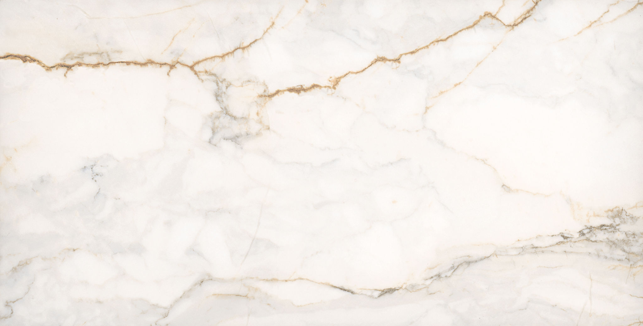Treasure II Perfect Calacatta 12x24 Polished | Roma Tile NY