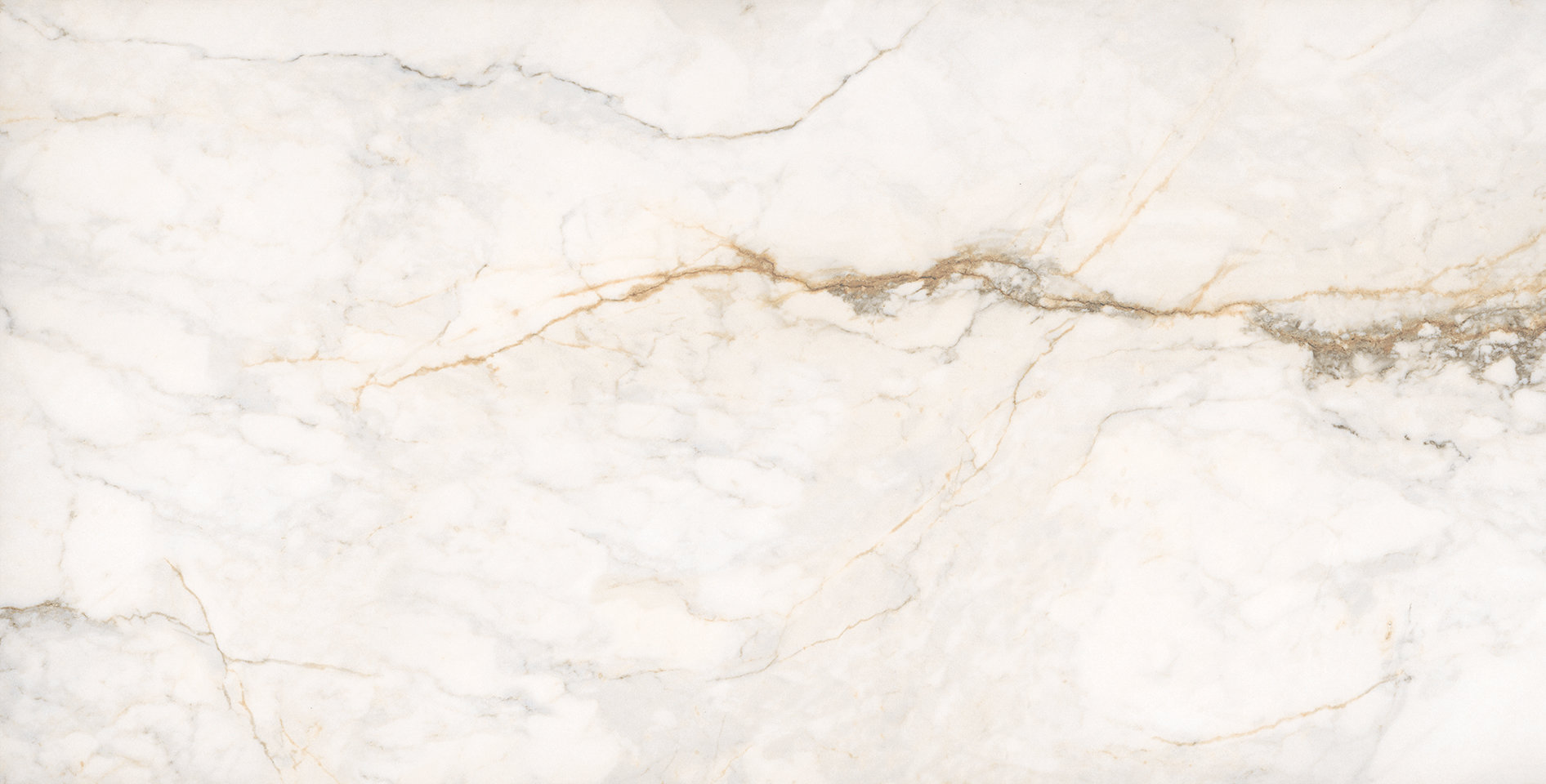 Treasure II Perfect Calacatta 24x48 Polished | Roma Tile NY