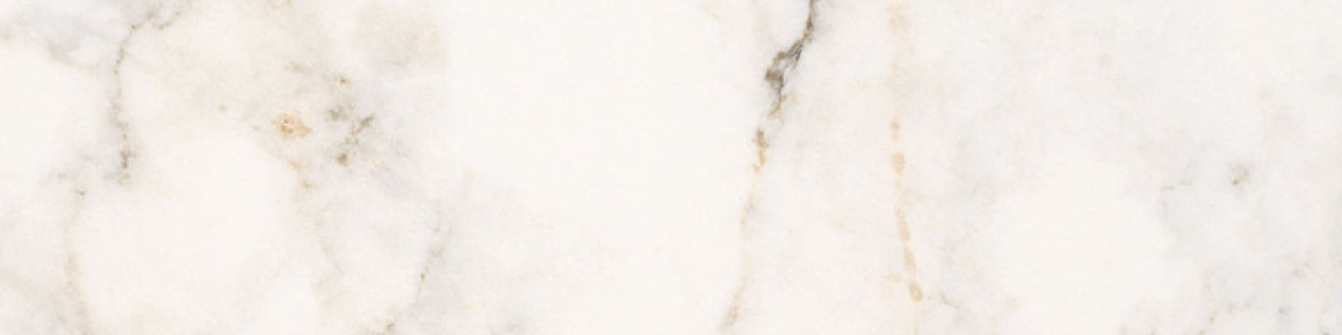 Treasure II Perfect Calacatta 4x12 Polished | Roma Tile NY